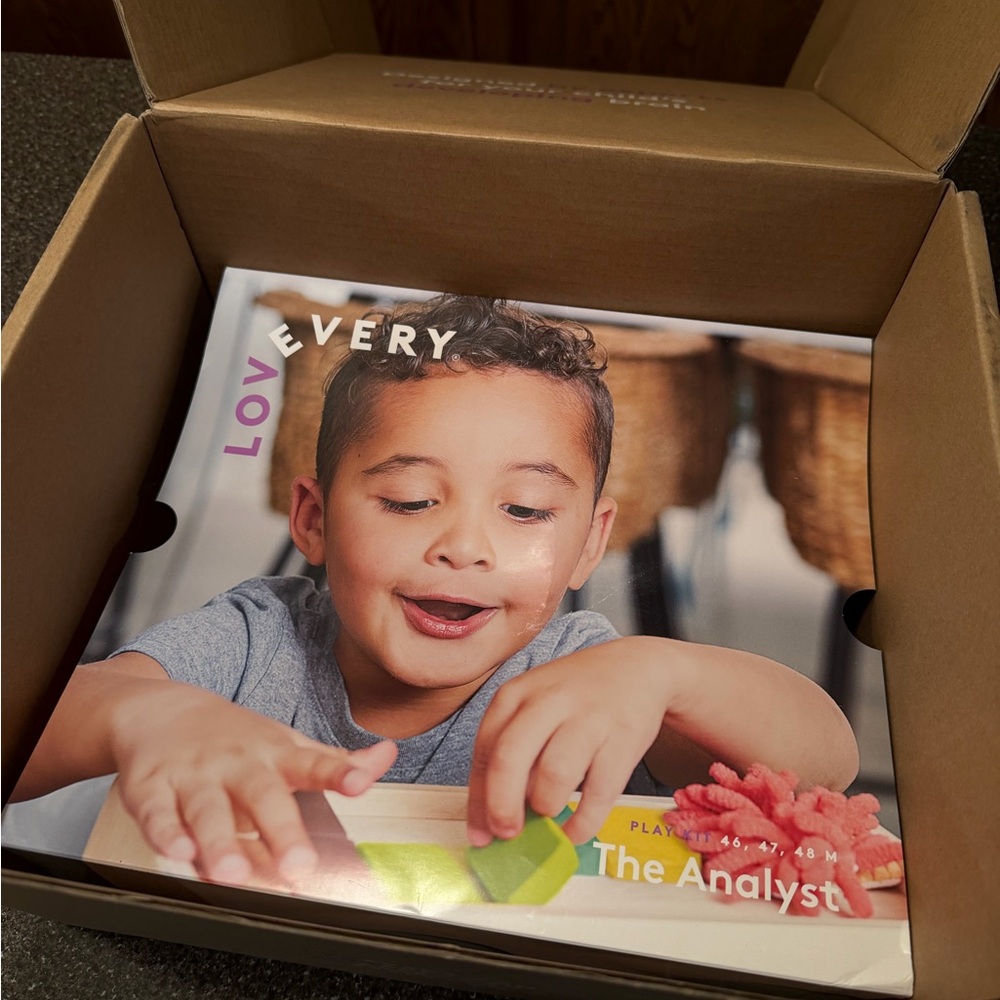 Lovevery Play Kit Months 46-48 Months The Analyst